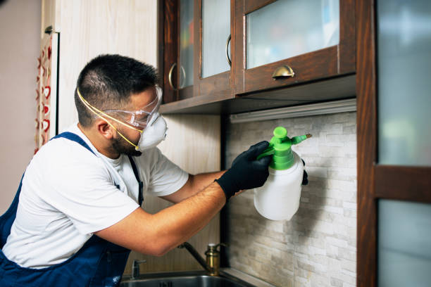 Best Emergency Pest Control  in Northport, AL