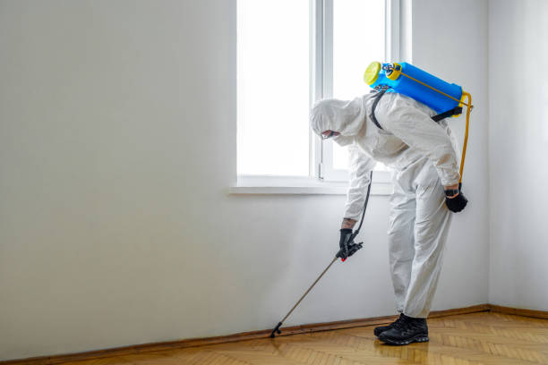 Best Flea Control Services  in Northport, AL