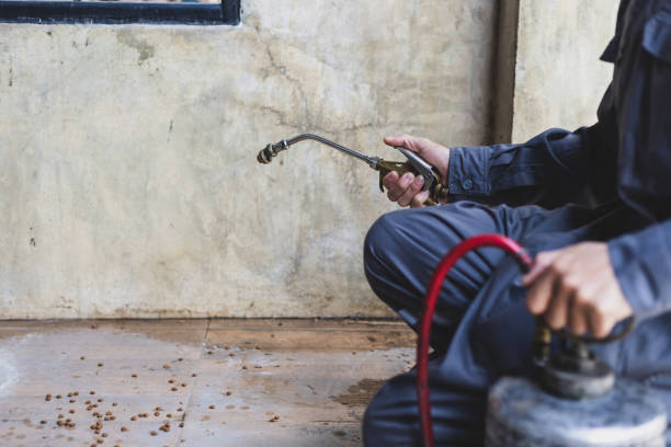 Best Affordable Exterminators  in Northport, AL