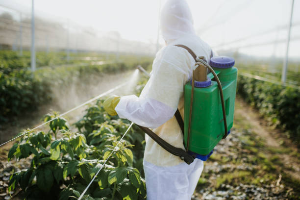 Northport, AL Pest Control Company